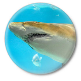 Значок с принтом Тигровая акула в Петрозаводске,  металл | круглая форма, металлическая застежка в виде булавки | голубое море | океан | рыба