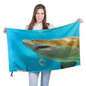 Флаг 3D с принтом Тигровая акула в Петрозаводске, 100% полиэстер | плотность ткани — 95 г/м2, размер — 67 х 109 см. Принт наносится с одной стороны | голубое море | океан | рыба