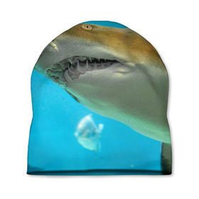 Шапка 3D с принтом Тигровая акула в Петрозаводске, 100% полиэстер | универсальный размер, печать по всей поверхности изделия | голубое море | океан | рыба