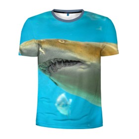 Мужская футболка 3D спортивная с принтом Тигровая акула в Петрозаводске, 100% полиэстер с улучшенными характеристиками | приталенный силуэт, круглая горловина, широкие плечи, сужается к линии бедра | голубое море | океан | рыба