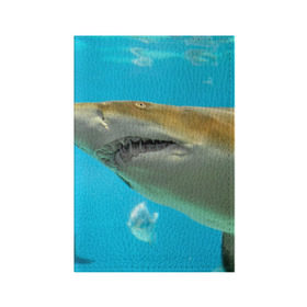 Обложка для паспорта матовая кожа с принтом Тигровая акула в Петрозаводске, натуральная матовая кожа | размер 19,3 х 13,7 см; прозрачные пластиковые крепления | голубое море | океан | рыба