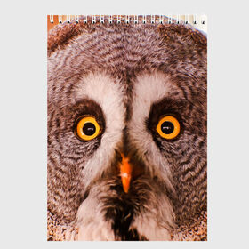 Скетчбук с принтом Кофе в Петрозаводске, 100% бумага
 | 48 листов, плотность листов — 100 г/м2, плотность картонной обложки — 250 г/м2. Листы скреплены сверху удобной пружинной спиралью | Тематика изображения на принте: owl | мудрость | птица | сова | филин