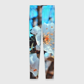 Леггинсы 3D с принтом Весна в Петрозаводске, 80% полиэстер, 20% эластан | Эластичный пояс, зауженные к низу, низкая посадка | 3d | flower | весна | другие | красивые цветы | красные | лето | поле | полевой цветок | прикольные | природа | текстуры | цветочки | цветы