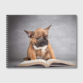 Альбом для рисования с принтом Читает в Петрозаводске, 100% бумага
 | матовая бумага, плотность 200 мг. | dog | мопс | пес | собака