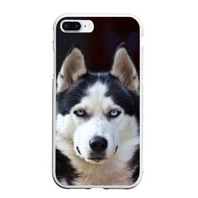 Чехол для iPhone 7Plus/8 Plus матовый с принтом Хаски в Петрозаводске, Силикон | Область печати: задняя сторона чехла, без боковых панелей | dog | лабрадор | мопс | пес | собака | такса | хаски | щеночек