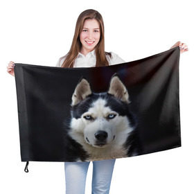 Флаг 3D с принтом Хаски в Петрозаводске, 100% полиэстер | плотность ткани — 95 г/м2, размер — 67 х 109 см. Принт наносится с одной стороны | dog | лабрадор | мопс | пес | собака | такса | хаски | щеночек