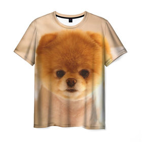 Мужская футболка 3D с принтом Пушистик в Петрозаводске, 100% полиэфир | прямой крой, круглый вырез горловины, длина до линии бедер | Тематика изображения на принте: dog | пес | померанский | собака | шпиц | щеночек