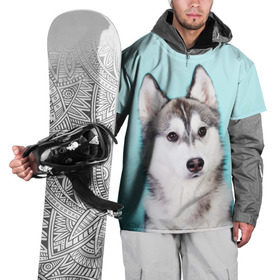 Накидка на куртку 3D с принтом Blue в Петрозаводске, 100% полиэстер |  | Тематика изображения на принте: dog | бандит | пес | собака | хаски | хаски бандит | щеночек