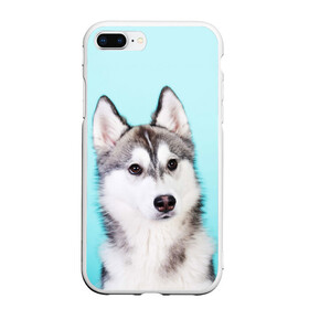 Чехол для iPhone 7Plus/8 Plus матовый с принтом Blue в Петрозаводске, Силикон | Область печати: задняя сторона чехла, без боковых панелей | dog | бандит | пес | собака | хаски | хаски бандит | щеночек