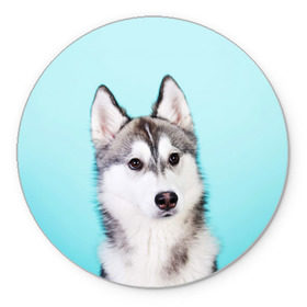 Коврик круглый с принтом Blue в Петрозаводске, резина и полиэстер | круглая форма, изображение наносится на всю лицевую часть | dog | бандит | пес | собака | хаски | хаски бандит | щеночек