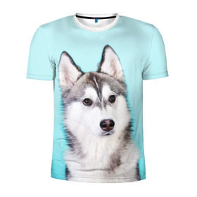Мужская футболка 3D спортивная с принтом Blue в Петрозаводске, 100% полиэстер с улучшенными характеристиками | приталенный силуэт, круглая горловина, широкие плечи, сужается к линии бедра | dog | бандит | пес | собака | хаски | хаски бандит | щеночек
