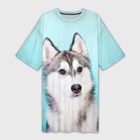 Платье-футболка 3D с принтом Blue в Петрозаводске,  |  | dog | бандит | пес | собака | хаски | хаски бандит | щеночек