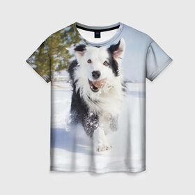 Женская футболка 3D с принтом Snow в Петрозаводске, 100% полиэфир ( синтетическое хлопкоподобное полотно) | прямой крой, круглый вырез горловины, длина до линии бедер | dog | бордер | бордер колли | колли | пес | собака
