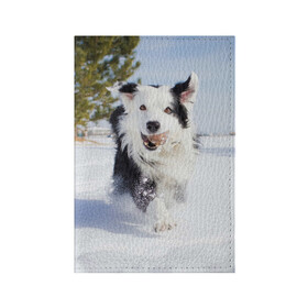 Обложка для паспорта матовая кожа с принтом Snow в Петрозаводске, натуральная матовая кожа | размер 19,3 х 13,7 см; прозрачные пластиковые крепления | Тематика изображения на принте: dog | бордер | бордер колли | колли | пес | собака