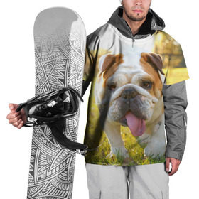 Накидка на куртку 3D с принтом Funny Dog в Петрозаводске, 100% полиэстер |  | dog | английский бульдог | пес | собака