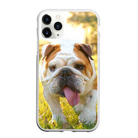 Чехол для iPhone 11 Pro матовый с принтом Funny Dog в Петрозаводске, Силикон |  | Тематика изображения на принте: dog | английский бульдог | пес | собака