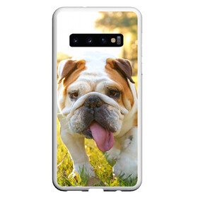 Чехол для Samsung Galaxy S10 с принтом Funny Dog в Петрозаводске, Силикон | Область печати: задняя сторона чехла, без боковых панелей | Тематика изображения на принте: dog | английский бульдог | пес | собака
