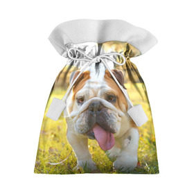 Подарочный 3D мешок с принтом Funny Dog в Петрозаводске, 100% полиэстер | Размер: 29*39 см | dog | английский бульдог | пес | собака
