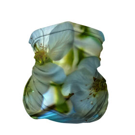 Бандана-труба 3D с принтом Цветочки на дереве в Петрозаводске, 100% полиэстер, ткань с особыми свойствами — Activecool | плотность 150‒180 г/м2; хорошо тянется, но сохраняет форму | 3d | flower | весна | другие | красивые цветы | лето | поле | полевой цветок | прикольные | природа | текстуры | цветочки | цветы
