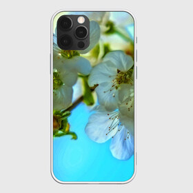 Чехол для iPhone 12 Pro Max с принтом Цветочки на дереве в Петрозаводске, Силикон |  | 3d | flower | весна | другие | красивые цветы | лето | поле | полевой цветок | прикольные | природа | текстуры | цветочки | цветы