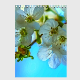 Скетчбук с принтом Цветочки на дереве в Петрозаводске, 100% бумага
 | 48 листов, плотность листов — 100 г/м2, плотность картонной обложки — 250 г/м2. Листы скреплены сверху удобной пружинной спиралью | 3d | flower | весна | другие | красивые цветы | лето | поле | полевой цветок | прикольные | природа | текстуры | цветочки | цветы