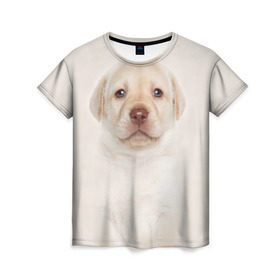 Женская футболка 3D с принтом Лабрадор в Петрозаводске, 100% полиэфир ( синтетическое хлопкоподобное полотно) | прямой крой, круглый вырез горловины, длина до линии бедер | dog | labrador | puppy | порода | собака | собачка | щенок