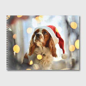 Альбом для рисования с принтом Рождество в Петрозаводске, 100% бумага
 | матовая бумага, плотность 200 мг. | dog | кавалер кинг чарльз спаниель | новый год | пес | рождество | собака