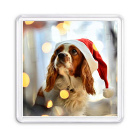 Магнит 55*55 с принтом Рождество в Петрозаводске, Пластик | Размер: 65*65 мм; Размер печати: 55*55 мм | dog | кавалер кинг чарльз спаниель | новый год | пес | рождество | собака