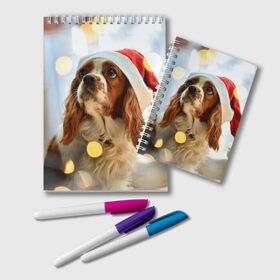 Блокнот с принтом Рождество в Петрозаводске, 100% бумага | 48 листов, плотность листов — 60 г/м2, плотность картонной обложки — 250 г/м2. Листы скреплены удобной пружинной спиралью. Цвет линий — светло-серый
 | Тематика изображения на принте: dog | кавалер кинг чарльз спаниель | новый год | пес | рождество | собака