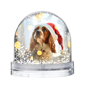 Водяной шар с принтом Рождество в Петрозаводске, Пластик | Изображение внутри шара печатается на глянцевой фотобумаге с двух сторон | dog | кавалер кинг чарльз спаниель | новый год | пес | рождество | собака