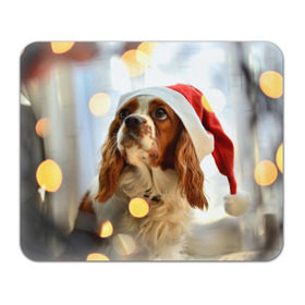 Коврик прямоугольный с принтом Рождество в Петрозаводске, натуральный каучук | размер 230 х 185 мм; запечатка лицевой стороны | dog | кавалер кинг чарльз спаниель | новый год | пес | рождество | собака