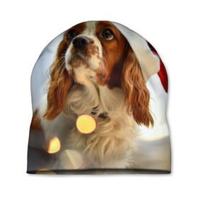 Шапка 3D с принтом Рождество в Петрозаводске, 100% полиэстер | универсальный размер, печать по всей поверхности изделия | dog | кавалер кинг чарльз спаниель | новый год | пес | рождество | собака