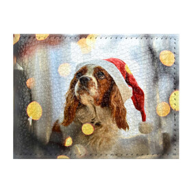 Обложка для студенческого билета с принтом Рождество в Петрозаводске, натуральная кожа | Размер: 11*8 см; Печать на всей внешней стороне | dog | кавалер кинг чарльз спаниель | новый год | пес | рождество | собака
