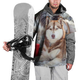 Накидка на куртку 3D с принтом Хаски в Петрозаводске, 100% полиэстер |  | Тематика изображения на принте: dog | лабрадор | мопс | пес | собака | такса | хаски | щеночек