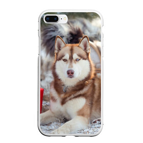 Чехол для iPhone 7Plus/8 Plus матовый с принтом Хаски в Петрозаводске, Силикон | Область печати: задняя сторона чехла, без боковых панелей | dog | лабрадор | мопс | пес | собака | такса | хаски | щеночек