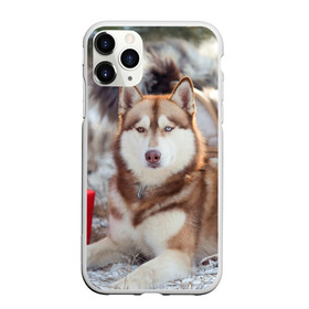 Чехол для iPhone 11 Pro матовый с принтом Хаски в Петрозаводске, Силикон |  | dog | лабрадор | мопс | пес | собака | такса | хаски | щеночек