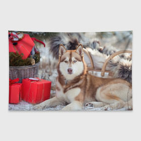 Флаг-баннер с принтом Хаски в Петрозаводске, 100% полиэстер | размер 67 х 109 см, плотность ткани — 95 г/м2; по краям флага есть четыре люверса для крепления | dog | лабрадор | мопс | пес | собака | такса | хаски | щеночек