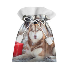 Подарочный 3D мешок с принтом Хаски в Петрозаводске, 100% полиэстер | Размер: 29*39 см | dog | лабрадор | мопс | пес | собака | такса | хаски | щеночек