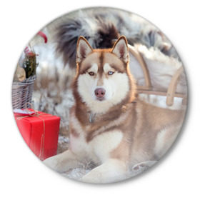 Значок с принтом Хаски в Петрозаводске,  металл | круглая форма, металлическая застежка в виде булавки | dog | лабрадор | мопс | пес | собака | такса | хаски | щеночек
