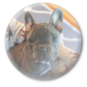 Значок с принтом Мопс в Петрозаводске,  металл | круглая форма, металлическая застежка в виде булавки | пес