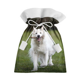 Подарочный 3D мешок с принтом Палочка в Петрозаводске, 100% полиэстер | Размер: 29*39 см | dog | лабрадор | мопс | пес | собака | такса | хаски | щеночек