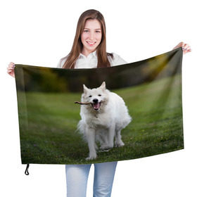 Флаг 3D с принтом Палочка в Петрозаводске, 100% полиэстер | плотность ткани — 95 г/м2, размер — 67 х 109 см. Принт наносится с одной стороны | dog | лабрадор | мопс | пес | собака | такса | хаски | щеночек