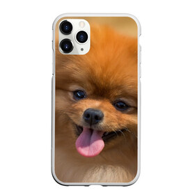Чехол для iPhone 11 Pro матовый с принтом Милашка в Петрозаводске, Силикон |  | dog | пес | померанский | собака | шпиц | щеночек