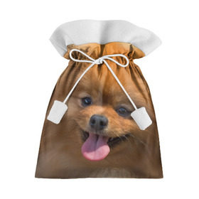 Подарочный 3D мешок с принтом Милашка в Петрозаводске, 100% полиэстер | Размер: 29*39 см | dog | пес | померанский | собака | шпиц | щеночек