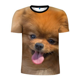 Мужская футболка 3D спортивная с принтом Милашка в Петрозаводске, 100% полиэстер с улучшенными характеристиками | приталенный силуэт, круглая горловина, широкие плечи, сужается к линии бедра | dog | пес | померанский | собака | шпиц | щеночек
