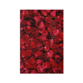 Обложка для паспорта матовая кожа с принтом Лепестки красных роз в Петрозаводске, натуральная матовая кожа | размер 19,3 х 13,7 см; прозрачные пластиковые крепления | Тематика изображения на принте: красный | лепестки | природа | растения | розы | текстура | цветы