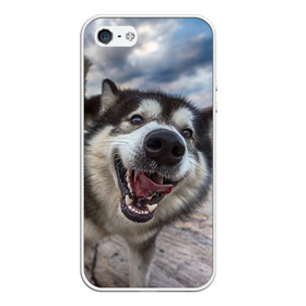 Чехол для iPhone 5/5S матовый с принтом Smile в Петрозаводске, Силикон | Область печати: задняя сторона чехла, без боковых панелей | dog | лабрадор | мопс | пес | собака | такса | хаски | щеночек