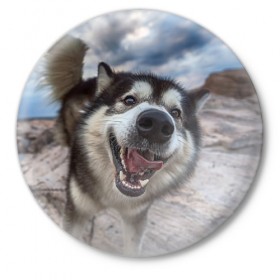 Значок с принтом Smile в Петрозаводске,  металл | круглая форма, металлическая застежка в виде булавки | dog | лабрадор | мопс | пес | собака | такса | хаски | щеночек