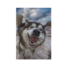 Обложка для паспорта матовая кожа с принтом Smile в Петрозаводске, натуральная матовая кожа | размер 19,3 х 13,7 см; прозрачные пластиковые крепления | dog | лабрадор | мопс | пес | собака | такса | хаски | щеночек