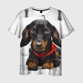Мужская футболка 3D с принтом Пёсик в Петрозаводске, 100% полиэфир | прямой крой, круглый вырез горловины, длина до линии бедер | Тематика изображения на принте: dog | пес | собака | такса | щеночек